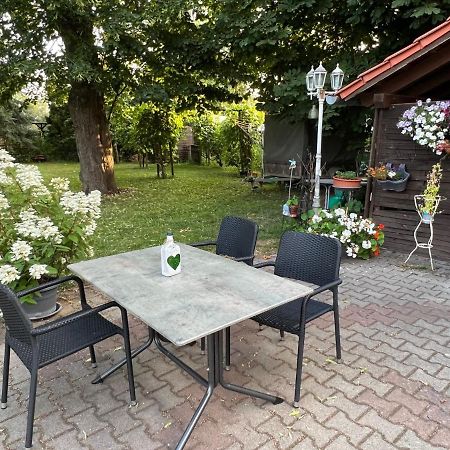 Gasthaus Kelly Magdeburg Dış mekan fotoğraf